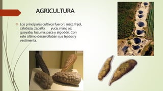 AGRICULTURA
 Los principales cultivos fueron: maíz, frijol,
calabaza, zapallo, yuca, maní, ají,
guayaba, lúcuma, paca y algodón. Con
este último desarrollaban sus tejidos y
vestimenta.
 