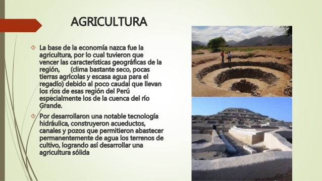 Cultura nazca