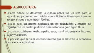AGRICULTURA
El área donde se desarrolló la cultura nazca fue un reto para la
agricultura, ya que no se contaba con suficientes tierras que tuvieran
acceso al agua y que fueran fértiles.
Para lo cual, los nazcas desarrollaron los acueductos y canales de
regadío con los cuales pudieron desarrollar una gran agricultura.
Los nazcas cultivaron maíz, zapallo, yuca, maní, ají, guayaba, lúcuma,
pacay y algodón.
Es por eso que se tiene el conocimiento que la base de la economía
nazca era la agricultura.
 