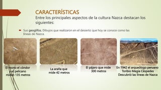 CARACTERÍSTICAS
Entre los principales aspectos de la cultura Nazca destacan los
siguientes:
 Sus geoglifos, Dibujos que realizaron en el desierto que hoy se conoce como las
líneas de Nazca.
El pájaro que mide
300 metros
El mono el cóndor
y el pelicano
miden 135 metros
La araña que
mide 42 metros
En 1942 el arqueólogo peruano
Toribio Megia Céspedes
Descubrió las líneas de Nazca
 