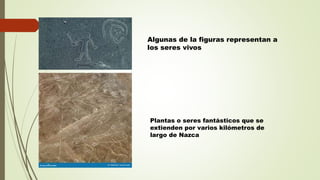 Algunas de la figuras representan a
los seres vivos
Plantas o seres fantásticos que se
extienden por varios kilómetros de
largo de Nazca
 