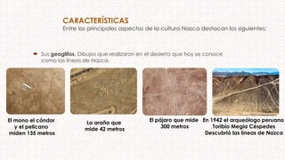 CARACTERÍSTICAS
Entre los principales aspectos de la cultura Nazca destacan los siguientes:
 Sus geoglifos, Dibujos que realizaron en el desierto que hoy se conoce
como las líneas de Nazca.
El pájaro que mide
300 metros
El mono el cóndor
y el pelicano
miden 135 metros
La araña que
mide 42 metros
En 1942 el arqueólogo peruano
Toribio Megia Céspedes
Descubrió las líneas de Nazca
 