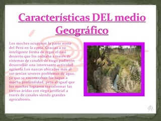 Los moches ocuparon la parte norte
del Perú en la costa. Gracias a su
inteligente forma de regar el casi
desierto que los rodeaba a través de
sistemas de canales de riego pudieron
desarrollar una interesante actividad
agrícola.Los nazcas ubicados más al
sur tenían severos problemas de agua,
ya que se encontraban las napas a
mucha profundidad, pero al igual que
los moches lograron transformar las
tierras áridas con riego artificial a
través de canales siendo grandes
agricultores .

 