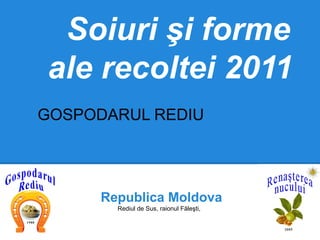 Soiuri şi forme
ale recoltei 2011
GOSPODARUL REDIU




      Republica Moldova
        Rediul de Sus, raionul Făleşti,
 