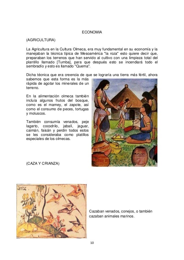 monografia de los olmecas pdf monografia de los olmecas pdf