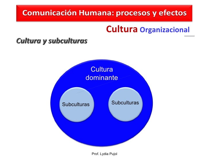 Cultura organizacional
