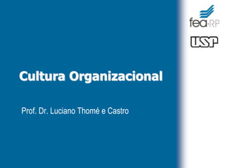 Cultura Organizacional
Prof. Dr. Luciano Thomé e Castro
 