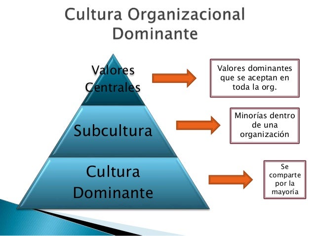 Cultura Organizacional