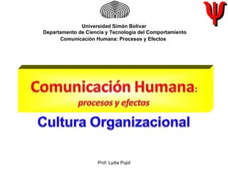 Prof. Lydia Pujol    Universidad Simón Bolívar  Departamento de Ciencia y Tecnología del Comportamiento Comunicación Humana: Procesos y Efectos   