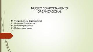 3.1 (Comportamiento Organizacional)
3.1.1 Estructura Organizacional
3.1.2 Cultura Organizacional
3.1.3 Relaciones de trabajo
NUCLEO COMPORTAMIENTO
ORGANIZACIONAL
 
