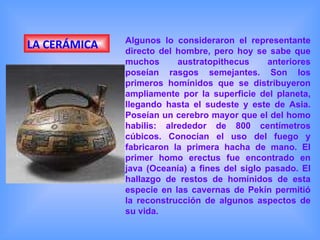 LA CERÁMICA Algunos lo consideraron el representante directo del hombre, pero hoy se sabe que muchos austratopithecus anteriores poseían rasgos semejantes. Son los primeros homínidos que se distribuyeron ampliamente por la superficie del planeta, llegando hasta el sudeste y este de Asia. Poseían un cerebro mayor que el del homo habilis: alrededor de 800 centímetros cúbicos. Conocían el uso del fuego y fabricaron la primera hacha de mano. El primer homo erectus fue encontrado en java (Oceanía) a fines del siglo pasado. El hallazgo de restos de homínidos de esta especie en las cavernas de Pekín permitió la reconstrucción de algunos aspectos de su vida.  