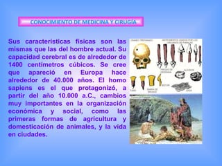 CONOCIMIENTO DE MEDICINA Y CIRUGÍA Sus características físicas son las mismas que las del hombre actual. Su capacidad cerebral es de alrededor de 1400 centímetros cúbicos. Se cree que apareció en Europa hace alrededor de 40.000 años. El homo sapiens es el que protagonizó, a partir del año 10.000 a.C., cambios muy importantes en la organización económica y social, como las primeras formas de agricultura y domesticación de animales, y la vida en ciudades.  