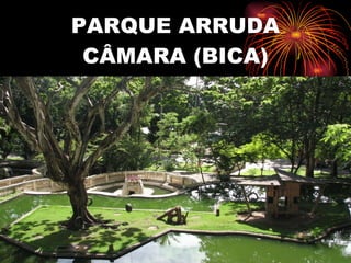 PARQUE ARRUDA CÂMARA (BICA) 