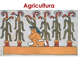 Agricultura
 