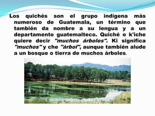 Los quichés son el grupo indígena más numeroso de Guatemala, un término que también da nombre a su lengua y a un departamento guatemalteco. Quiché o k'iche quiere decir "muchos árboles".Ki significa "muchos" yche "árbol", aunque también alude a un bosque o tierra de muchos árboles. 