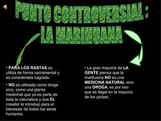 PUNTO CONTROVERSIAL : LA MARIHUANA PARA LOS RASTAS   se utiliza de forma sacramental y es considerada sagrada.  NO  es utilizada como droga sino, como una planta medicinal que ya es parte de toda la naturaleza y que  EL  creador la introdujo para el bienestar de todos los seres humanos.   La gran mayoría de  LA   GENTE  piensa que la marihuana  NO  es una  MEDICINA NATURAL  sino una  DROGA , es por eso que es ilegal en la mayoría de los países.  