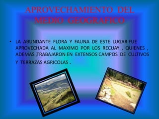 APROVECHAMIENTO DEL
MEDIO GEOGRAFICO
• LA ABUNDANTE FLORA Y FAUNA DE ESTE LUGAR FUE
APROVECHADA AL MAXIMO POR LOS RECUAY , QUIENES ,
ADEMAS ,TRABAJARON EN EXTENSOS CAMPOS DE CULTIVOS
Y TERRAZAS AGRICOLAS .
 