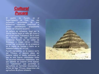 Cultural
Pucará
El pueblo de Pucará, en el
Departamento de Puno, con una
extensión aproximada de seis
kilómetros cuadrados constituyó el
primer asentamiento propiamente
urbano del altiplano lacustre.
Su esfera de influencia, llegó por la
Sierra Norte hasta el valle del Cuzco y
por el sur hasta Tiahuanaco. En la costa
del Pacifico se han encontrado
evidencias Pucara en los valles de
Moquegua y Azapa (Arica - Chile),
aunque hay evidencias de su presencia
en la region de Iquique y hasta en la
desembocadura del rio Loa.
Pucará representa, en la cuenca norte
del Titicaca, el dominio pleno del
hombre sobre el medio ambiente, ya
que no solo fueron controlados todos
los recursos naturales disponibles, sino
que además se crearon otros nuevos.
Los "camellones", que permitían la
agricultura en terrenos innundables a
orillas del lago Titicaca, aseguraban una
agricultura de altura intensiva
 