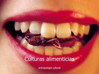 Culturas alimenticias antropología cultural 