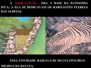 A AGRICULTURA ERA A BASE DA ECONOMIA
INCA; A ELA SE DEDICAVAM OS HABITANTES PLEBEUS
DAS ALDEIAS.
ESSA ATIVIDADE BASEAVA-SE NO CULTIVO DO O
MILHO E DA BATATA.
 
