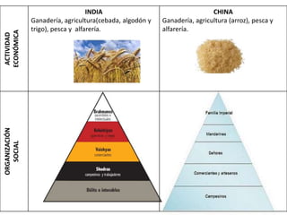 ACTIVIDAD
ECONÓMICA
INDIA
Ganadería, agricultura(cebada, algodón y
trigo), pesca y alfarería.
CHINA
Ganadería, agricultura (arroz), pesca y
alfarería.
ORGANIZACIÓN
SOCIAL
 