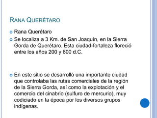 RANA QUERÉTARO 
 Rana Querétaro 
 Se localiza a 3 Km. de San Joaquín, en la Sierra 
Gorda de Querétaro. Esta ciudad-fortaleza floreció 
entre los años 200 y 600 d.C. 
 En este sitio se desarrolló una importante ciudad 
que controlaba las rutas comerciales de la región 
de la Sierra Gorda, así como la explotación y el 
comercio del cinabrio (sulfuro de mercurio), muy 
codiciado en la época por los diversos grupos 
indígenas. 
 