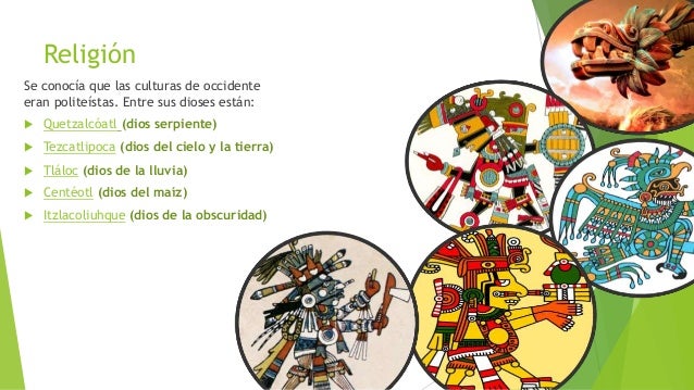 Culturas del occidente de méxico