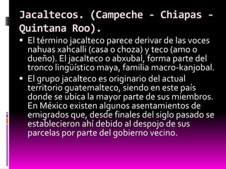 Jacaltecos. (Campeche - Chiapas -
Quintana Roo).
 El término jacalteco parece derivar de las voces
  nahuas xahcalli (cas...