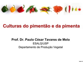 Culturas do pimentão e da pimenta
Prof. Dr. Paulo César Tavares de Melo
ESALQ/USP
Departamento de Produção Vegetal
 
