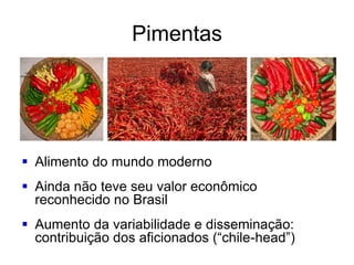 Pimentas
 Alimento do mundo moderno
 Ainda não teve seu valor econômico
reconhecido no Brasil
 Aumento da variabilidade e disseminação:
contribuição dos aficionados (“chile-head”)
 