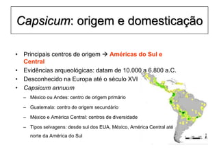 Capsicum: origem e domesticação
• Principais centros de origem  Américas do Sul e
Central
• Evidências arqueológicas: datam de 10.000 a 6.800 a.C.
• Desconhecido na Europa até o século XVI
• Capsicum annuum
– México ou Andes: centro de origem primário
– Guatemala: centro de origem secundário
– México e América Central: centros de diversidade
– Tipos selvagens: desde sul dos EUA, México, América Central até
norte da América do Sul
 