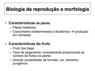 Biologia da reprodução e morfologia
• Características da planta
– Planta herbácea
– Crescimento indeterminado e dicotômico  produção
em camadas
• Características do fruto
– Fruto tipo baga
– Taxa de pegamento: inversamente proporcional ao
número de frutos na planta
– Grande variabilidade de formato, cor, tamanho,
pungência
 