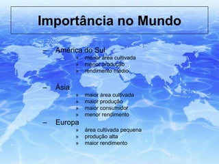 Importância no Mundo
– América do Sul
» menor área cultivada
» menor produção
» rendimento médio
– Ásia
» maior área cultivada
» maior produção
» maior consumidor
» menor rendimento
– Europa
» área cultivada pequena
» produção alta
» maior rendimento
 
