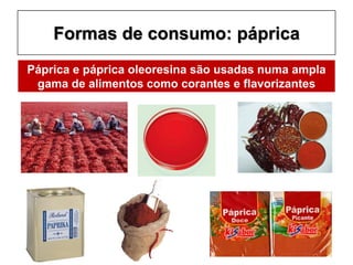 Formas de consumo: páprica
Páprica e páprica oleoresina são usadas numa ampla
gama de alimentos como corantes e flavorizantes
 