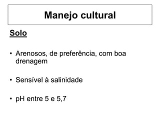 Manejo cultural
Solo
• Arenosos, de preferência, com boa
drenagem
• Sensível à salinidade
• pH entre 5 e 5,7
 