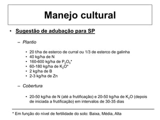 Manejo cultural
• Sugestão de adubação para SP
– Plantio
• 20 t/ha de esterco de curral ou 1/3 de esterco de galinha
• 40 kg/ha de N
• 160-600 kg/ha de P2O5*
• 60-180 kg/ha de K2O*
• 2 kg/ha de B
• 2-3 kg/ha de Zn
– Cobertura
• 20-50 kg/ha de N (até a frutificação) e 20-50 kg/ha de K2O (depois
de iniciada a frutificação) em intervalos de 30-35 dias
* Em função do nível de fertilidade do solo: Baixa, Média, Alta
 