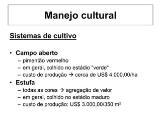 Manejo cultural
Sistemas de cultivo
• Campo aberto
– pimentão vermelho
– em geral, colhido no estádio "verde"
– custo de produção  cerca de US$ 4.000,00/ha
• Estufa
– todas as cores  agregação de valor
– em geral, colhido no estádio maduro
– custo de produção: US$ 3.000,00/350 m2
 
