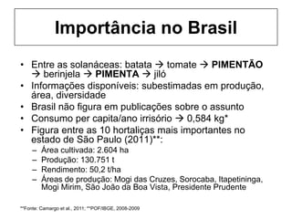 Importância no Brasil
• Entre as solanáceas: batata  tomate  PIMENTÃO
 berinjela  PIMENTA  jiló
• Informações disponíveis: subestimadas em produção,
área, diversidade
• Brasil não figura em publicações sobre o assunto
• Consumo per capita/ano irrisório  0,584 kg*
• Figura entre as 10 hortaliças mais importantes no
estado de São Paulo (2011)**:
– Área cultivada: 2.604 ha
– Produção: 130.751 t
– Rendimento: 50,2 t/ha
– Áreas de produção: Mogi das Cruzes, Sorocaba, Itapetininga,
Mogi Mirim, São João da Boa Vista, Presidente Prudente
**Fonte: Camargo et al., 2011; **POF/IBGE, 2008-2009
 