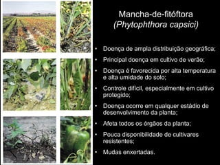 Mancha-de-fitóftora
(Phytophthora capsici)
• Doença de ampla distribuição geográfica;
• Principal doença em cultivo de verão;
• Doença é favorecida por alta temperatura
e alta umidade do solo;
• Controle difícil, especialmente em cultivo
protegido;
• Doença ocorre em qualquer estádio de
desenvolvimento da planta;
• Afeta todos os órgãos da planta;
• Pouca disponibilidade de cultivares
resistentes;
• Mudas enxertadas.
 