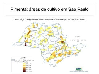 Pimenta: áreas de cultivo em São Paulo
 