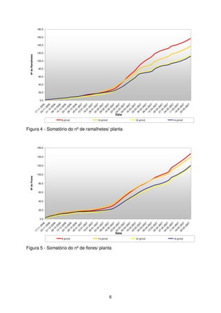 8 pl/m2

10 pl/m2

Figura 5 - Somatório do nº de flores/ planta

6

02

23

16

Data

12 pl/m2

25

-0
5

-0
5

-0
5

-0
5

-0
4

-0
4

-0
4

-0
4

14 pl/m2

-2
00

-2
00

-2
00

-2
00

-2
00

-2
00

-2
00

-2
00

-2
00

-2
00

-2
00

7

7

7

7

7

7

7

7

7

7

7

7

7

7

12 pl/m2

18

11

04

27

20

13

06

-0
3

-0
3

-0
3

-2
00

-2
00

7

7

7

7

7

7

7

6

6

6

6

6

6

6

10 pl/m2

30

23

-0
3

-2
00

-2
00

-2
00

-2
00

-2
00

-2
00

-2
00

-2
00

-2
00

-2
00

-2
00

-2
00

-2
00

-2
00

-2
00

25

18

11

04

27

20

13

06

30

23

16

09

02

23

16

09

02

26

19

12

05

29

22

15

08

01

24

17

Data

16

09

-0
3

-0
2

-0
2

-0
2

-0
2

-0
1

-0
1

-0
1

-0
1

-1
2

-1
2

-1
2

-1
2

-1
2

-1
1

-1
1

Nº de Flores

8 pl/m2

09

02

26

19

12

05

29

22

15

08

01

24

17

-0
5

-0
5

-0
5

-0
5

-0
4

-0
4

-0
4

-0
4

-0
3

-0
3

-0
3

-0
3

-0
3

-0
2

-0
2

-0
2

-0
2

-0
1

-0
1

-0
1

-0
1

-1
2

-1
2

-1
2

-1
2

-1
2

-1
1

-1
1

7

7

7

7

7

7

7

7

7

7

7

7

7

7

7

7

7

7

7

6

6

6

6

6

6

6

-2
00
7
-2
00
7

-2
00

-2
00

-2
00

-2
00

-2
00

-2
00

-2
00

-2
00

-2
00

-2
00

-2
00

-2
00

-2
00

-2
00

-2
00

-2
00

-2
00

-2
00

-2
00

-2
00

-2
00

-2
00

-2
00

-2
00

-2
00

-2
00

Nº de Ramalhetes
180,0

160,0

140,0

120,0

100,0

80,0

60,0

40,0

20,0

0,0

14 pl/m2

Figura 4 - Somatório do nº de ramalhetes/ planta

160,0

140,0

120,0

100,0

80,0

60,0

40,0

20,0

0,0

 