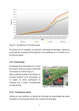 200,0
180,0
160,0

Nº de Frutos

140,0
120,0
100,0
80,0
60,0
40,0
20,0

24

17

-1
120
- 1 06
101 20
- 1 06
2
08 -20
- 1 06
2
15 -20
- 1 06
2
22 -20
- 1 06
2
29 -20
- 1 06
2
05 -20
- 0 06
1
12 -20
- 0 07
1
19 -20
- 0 07
1
26 -20
- 0 07
1
02 -20
- 0 07
2
09 -20
- 0 07
2
16 -20
- 0 07
2
23 -20
- 0 07
2
02 -20
- 0 07
3
09 -20
- 0 07
3
16 -20
- 0 07
3
23 -20
- 0 07
3
30 -20
- 0 07
3
06 -20
- 0 07
4
13 -20
- 0 07
4
20 -20
- 0 07
4
27 -20
- 0 07
4
04 -20
- 0 07
5
11 -20
- 0 07
5
18 -20
- 0 07
5
25 -20
- 0 07
520
07

0,0

Data

8 pl/m2

10 pl/m2

12 pl/m2

14 pl/m2

Figura 6 - Somatório do nº de frutos/ planta
De acordo com os resultados, ao aumentar a densidade de plantação, registou-se
uma tendência no sentido da diminuição do nº de ramalhetes, do nº de flores e do nº
de frutos por planta.

3.3.3 Produtividade
As colheitas foram efectuadas 2 ou 3 vezes
por semana, tendo-se iniciado em 20/12/06
e terminado em 14/6/07 (Figura 7).
Dado o potencial produtivo das plantas, as
colheitas poderiam ter-se prolongado, se
os preços de venda justificassem os
encargos com a cultura, nomeadamente
em mão-de-obra.

Figura 7 - Colheita de morango

3.3.3.1 Produção por planta
Verificou-se uma tendência no sentido da diminuição da produtividade por planta
(produção e nº de frutos por planta) com o aumento da densidade.

7

 