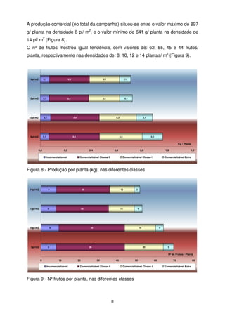 A produção comercial (no total da campanha) situou-se entre o valor máximo de 897
g/ planta na densidade 8 pl/ m2, e o valor mínimo de 641 g/ planta na densidade de
14 pl/ m2 (Figura 8).
O nº de frutos mostrou igual tendência, com valores de: 62, 55, 45 e 44 frutos/
planta, respectivamente nas densidades de: 8, 10, 12 e 14 plantas/ m2 (Figura 9).

14pl/m2

0,1

0,3

0,2

12pl/m2

0,1

0,3

0,2

10pl/m2

0,1

8pl/m2

0,1

0,1

0,4

0,1

0,3

0,4

0,1

0,3

0,2

Kg / Planta
0,0

0,2

Incomercializavel

0,4

0,6

Comercializável Classe II

0,8

1,0

Comercializável Classe I

1,2

Comercializável Extra

Figura 8 - Produção por planta (kg), nas diferentes classes

14pl/m2

8

12pl/m2

8

10pl/m2

28

28

9

8pl/m2

13

13

3

4

34

8

16

36

4

20

5

Nº de Frutos / Planta
0

10

Incomercializavel

20

30

40

Comercializável Classe II

50

Comercializável Classe I

Figura 9 - Nº frutos por planta, nas diferentes classes

8

60

70

Comercializável Extra

80

 