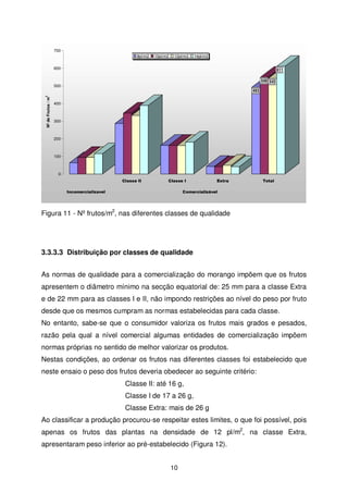700
8pl/m2

10pl/m2

12pl/m2

14pl/m2

600

611
548 543

500
Nº de Frutos / m

2

493
400

300

200

100

0
Classe II

Classe I

Incomercializavel

Extra

Total

Comercializável

Figura 11 - Nº frutos/m2, nas diferentes classes de qualidade

3.3.3.3 Distribuição por classes de qualidade
As normas de qualidade para a comercialização do morango impõem que os frutos
apresentem o diâmetro mínimo na secção equatorial de: 25 mm para a classe Extra
e de 22 mm para as classes I e II, não impondo restrições ao nível do peso por fruto
desde que os mesmos cumpram as normas estabelecidas para cada classe.
No entanto, sabe-se que o consumidor valoriza os frutos mais grados e pesados,
razão pela qual a nível comercial algumas entidades de comercialização impõem
normas próprias no sentido de melhor valorizar os produtos.
Nestas condições, ao ordenar os frutos nas diferentes classes foi estabelecido que
neste ensaio o peso dos frutos deveria obedecer ao seguinte critério:
Classe II: até 16 g,
Classe I de 17 a 26 g,
Classe Extra: mais de 26 g
Ao classificar a produção procurou-se respeitar estes limites, o que foi possível, pois
apenas os frutos das plantas na densidade de 12 pl/m2, na classe Extra,
apresentaram peso inferior ao pré-estabelecido (Figura 12).
10

 