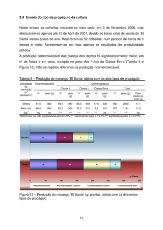 3.4 Ensaio do tipo de propágulo da cultura
Neste ensaio as colheitas iniciaram-se mais cedo, em 3 de Novembro 2006, mas
efectuaram-se apenas até 19 de Abril de 2007, devido ao baixo valor de venda do ‘El
Santa’ nessa época do ano. Realizaram-se 52 colheitas, num período de cerca de 5
meses e meio. Apresentam-se por isso apenas os resultados de produtividade
obtidos.
A produção comercializável das plantas dos mottes foi significativamente maior, em
nº de frutos e em peso, excepto no peso dos frutos da Classe Extra (Tabela 8 e
Figura 15). Não se registou diferença na produção incomercializável.
Tabela 8 – Produção de morango ‘El Santa’ obtida com os dois tipos de propágulo
Densidade
da
plantação
(nº
plantas/m2)

Incomercializável

Comercializável
Classe II

Classe I

Classe Extra

Total

nº

peso (g)

nº

peso
(g)

nº

peso
(g)

nº

peso
(g)

nº

peso (g)

Peso
médio do
fruto (g)

Mottes

81,6

862

99,0

847

65,3

848

17,8

336

182

2030

11,1

Raís nua

68,5

854

62,0

524

37,2

510

8,6

147

107

1181

11,0

*

Sig.
ns
ns
***
***
***
***
**
ns
***
***
ns
*diferenças: ns, não significativas para p ≤ 5%; ** significativas para p ≤ 0,1%;*** significativas para p ≤ 0,01%

Raiz Nua

85

Mottes

86

52

51

15

85

85

34

g / Planta
0

50
Incomercializavel

100

150

200

Comercializável Classe II

250

Comercializável Classe I

300
Comercializável Extra

Figura 15 – Produção do morango ‘El Santa’ (g/ planta), obtida com os diferentes
tipos de propágulo

15

350

 