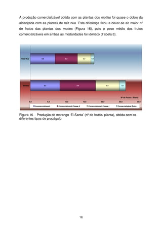 A produção comercializável obtida com as plantas dos mottes foi quase o dobro da
alcançada com as plantas de raiz nua. Esta diferença ficou a dever-se ao maior nº
de frutos das plantas dos mottes (Figura 16), pois o peso médio dos frutos
comercializáveis em ambas as modalidades foi idêntico (Tabela 8).

Raiz Nua

6,9

Mottes

6,2

8,2

3,7

0,9

9,9

6,5

1,8

Nº de Frutos / Planta
0,0

5,0
Incomercializavel

10,0

15,0

Comercializável Classe II

20,0
Comercializável Classe I

25,0
Comercializável Extra

Figura 16 – Produção do morango ‘El Santa’ (nº de frutos/ planta), obtida com os
diferentes tipos de propágulo

16

30,0

 