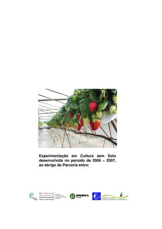 Experimentação em Cultura sem Solo
desenvolvida no período de 2006 – 2007,
ao abrigo de Parceria entre:

DRAPALG
Direcção Regional
de Agricultura e Pescas
do Algarve

 