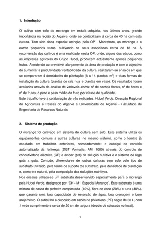1. Introdução
O cultivo sem solo do morango em estufa adquiriu, nos últimos anos, grande
importância na região do Algarve, onde se contabilizam já cerca de 40 ha com esta
cultura. Tem sido dada especial atenção pela OP - Madrefruta, ao morango e a
outros pequenos frutos, cultivando os seus associados cerca de 18 ha. A
reconversão dos cultivos é uma realidade nesta OP, onde, alguns dos sócios, como
as empresas agrícolas do Grupo Hubel, produzem actualmente apenas pequenos
frutos. Atendendo ao previsível alargamento da área de produção e com o objectivo
de aumentar a produtividade/ rentabilidade da cultura, realizaram-se ensaios em que
se compararam 4 densidades de plantação (8 a 14 plantas/ m2) e duas formas de
instalação da cultura (plantas de raiz nua e plantas em vaso). Os resultados foram
avaliados através da análise de variáveis como: nº de cachos florais, nº de flores e
nº de frutos, o peso e peso médio do fruto por classe de qualidade.
Este trabalho teve a colaboração de três entidades: Hubel Verde, Direcção Regional
de Agricultura e Pescas do Algarve e Universidade do Algarve - Faculdade de
Engenharia de Recursos Naturais

2. Sistema de produção
O morango foi cultivado em sistema de cultura sem solo. Este sistema utiliza os
equipamentos comuns a outras culturas no mesmo sistema, como o tomate já
estudado em trabalhos anteriores, nomeadamente: o cabeçal de controlo
automatizado da fertirrega (DGT Volmatic, AMI 1000) através do controlo de
condutividade eléctrica (CE) e acidez (pH) da solução nutritiva e o sistema de rega
gota a gota. Contudo, diferencia-se de outras culturas sem solo pelo tipo de
substrato utilizado, pela forma de suporte do substrato, pela densidade de plantação
e, como era natural, pela composição das soluções nutritivas.
Nos ensaios utilizou-se um substrato desenvolvido especialmente para o morango
pela Hubel Verde, designado por “CH - M1 Especial Morango”. Este substrato é uma
mistura de casca de pinheiro compostada (40%), fibra de coco (20%) e turfa (40%),
que garante uma boa capacidade de retenção de água, boa drenagem e bom
arejamento. O substrato é colocado em sacos de polietileno (PE) negro de 30 L, com
1 m de comprimento e cerca de 20 cm de largura (depois de colocado no local).

1

 