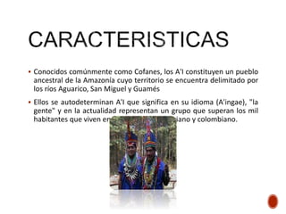  A'ingae, que tiene influencia de las familias Tucano Occidental y
Chibcha, muchos de sus integrantes también hablan espa...