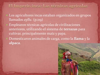  Los agricultores incas estaban organizados en grupos
  llamados ayllu. (p.119)
 Emplearon técnicas agrícolas de civilizaciones
  anteriores, utilizando el sistema de terrazas para
  cultivar, principalmente maíz y papa.
 Domesticaron animales de carga, como la llama y la
  alpaca.
 